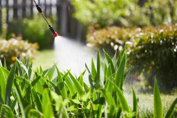 24/7 Emergency Fumigation Services experts in Albemarle, NC