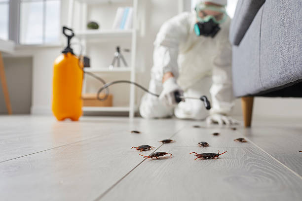 Trusted Fumigation Services service in Albemarle, NC - Nex Pest Control